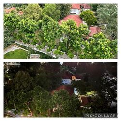 Pavilion 11 (D11), Condominium #423462041